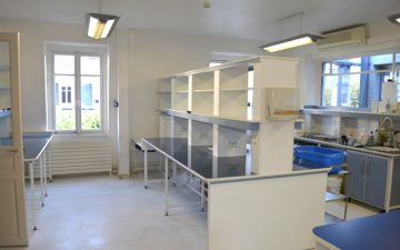 Nettoyage et Désinfection – Laboratoires non-classés – INSTITUT CURIE